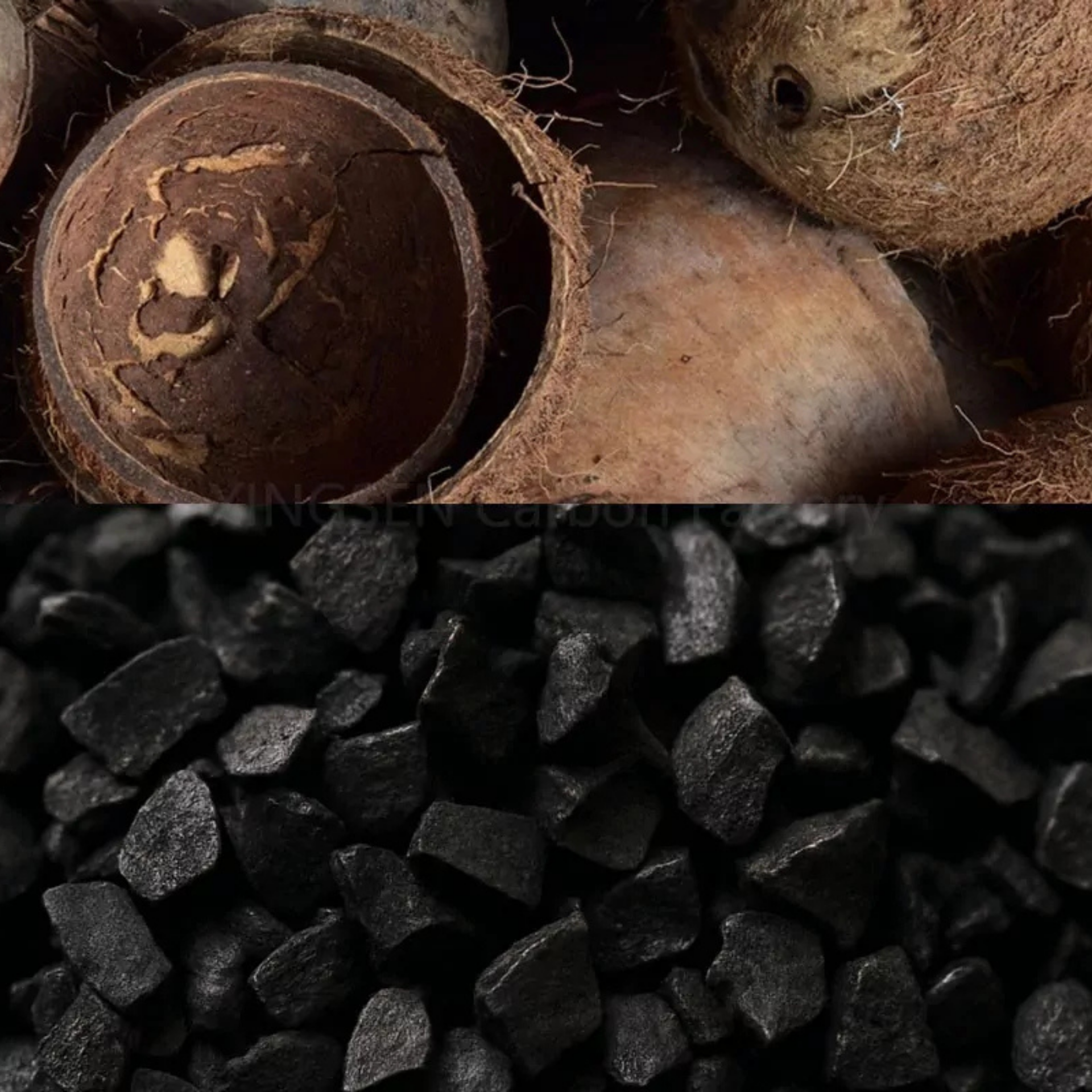 Coconut Shell and Activated Carbon Combined in a single picture - Vitronexa Carbon